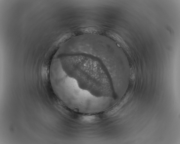 X0000112950669200909071117