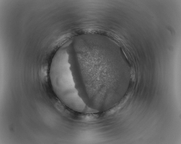 X0000112950670200909071117