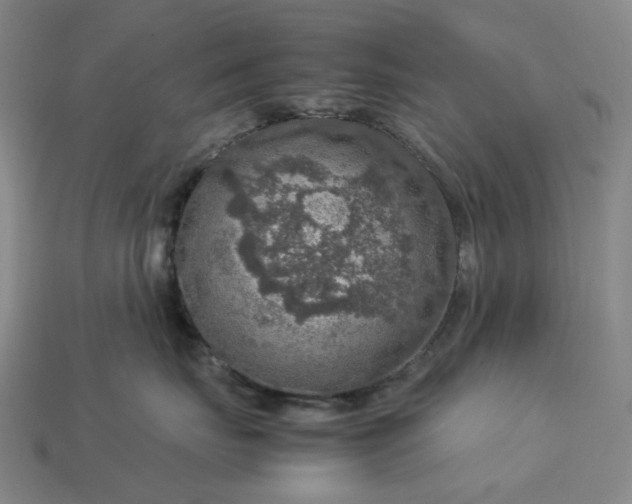 X0000112950671200909071117