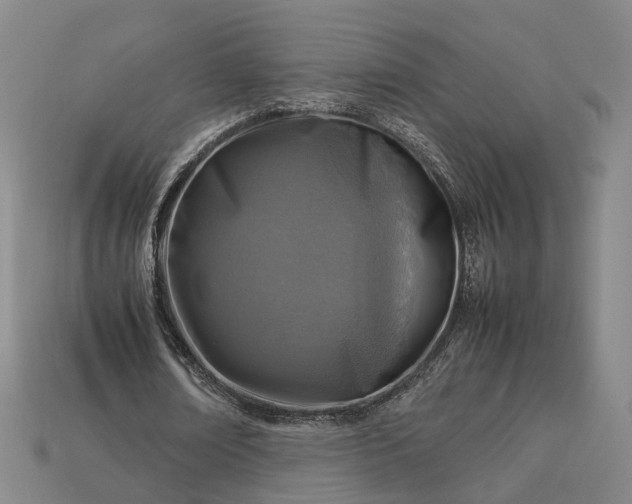 X0000112950674200909071116