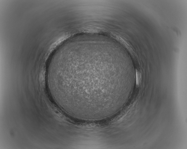 X0000112950675200909071116