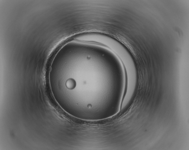 X0000112950676200909071116