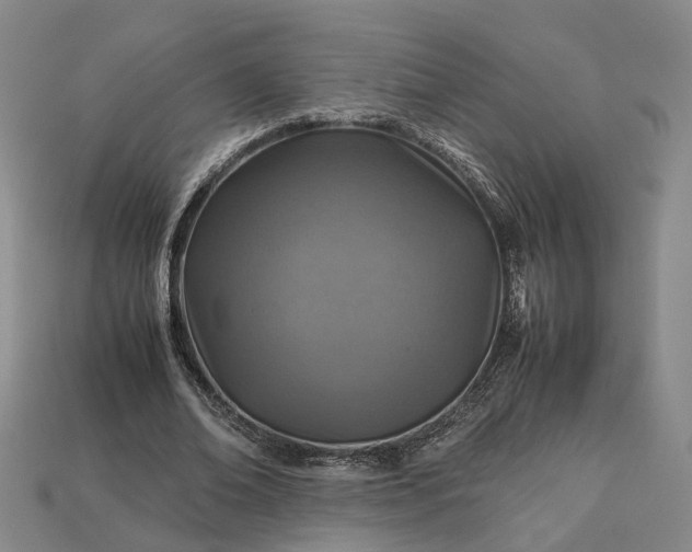 X0000112950678200909071116