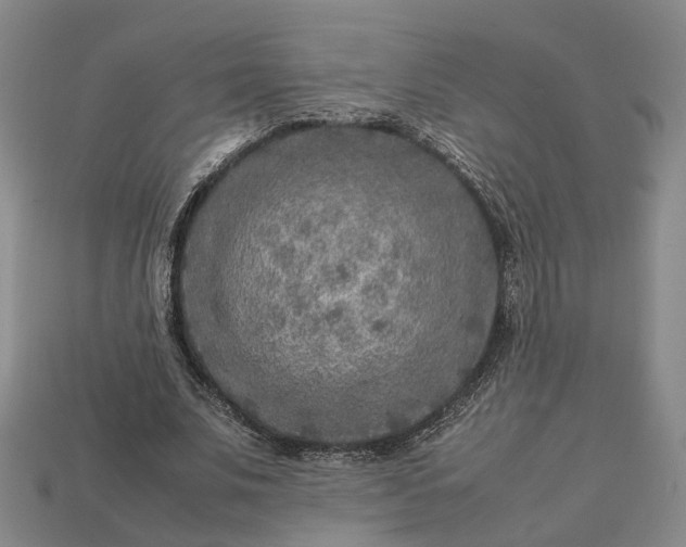 X0000112950679200909071116