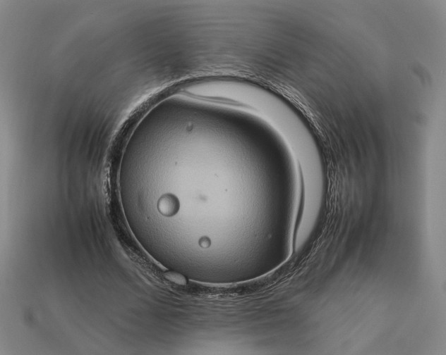 X0000112950680200909071116