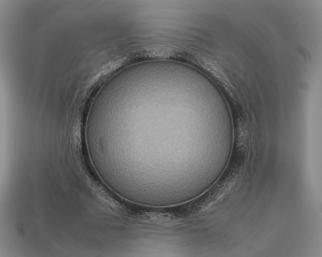 X0000112950681200909071116