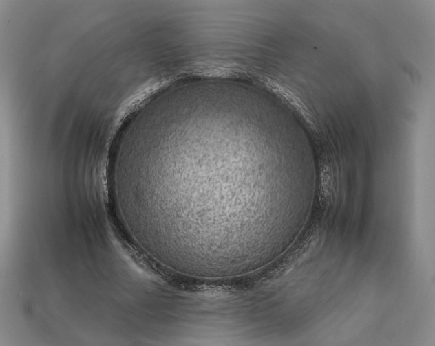 X0000112950682200909071116