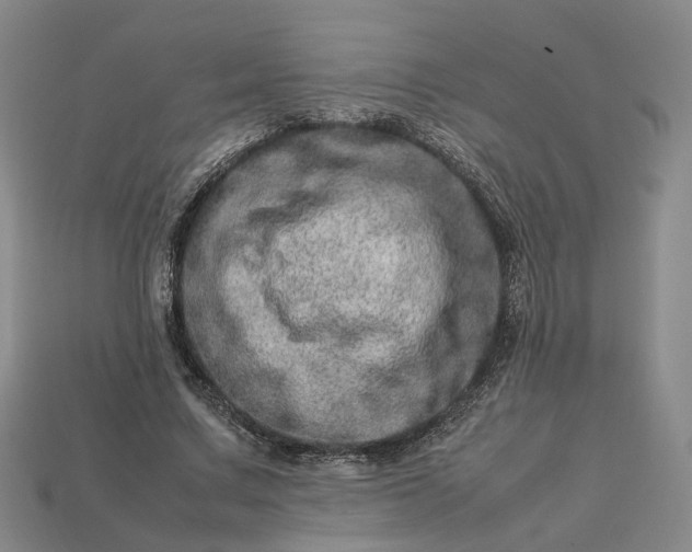 X0000112950683200909071116