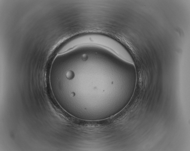 X0000112950684200909071116