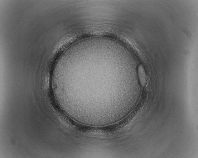 X0000112950685200909071116