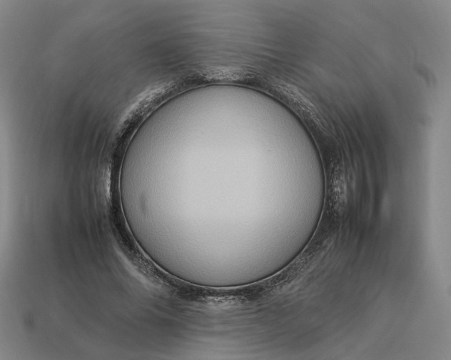 X0000112950686200909071116