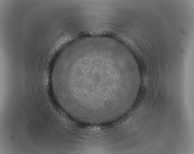 X0000112950687200909071116