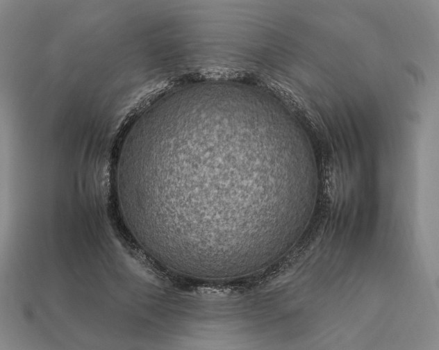 X0000112950690200909071116