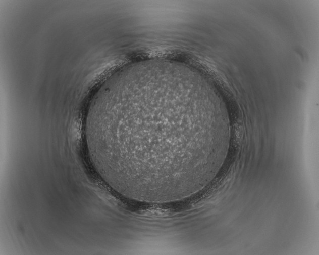 X0000112950691200909071116