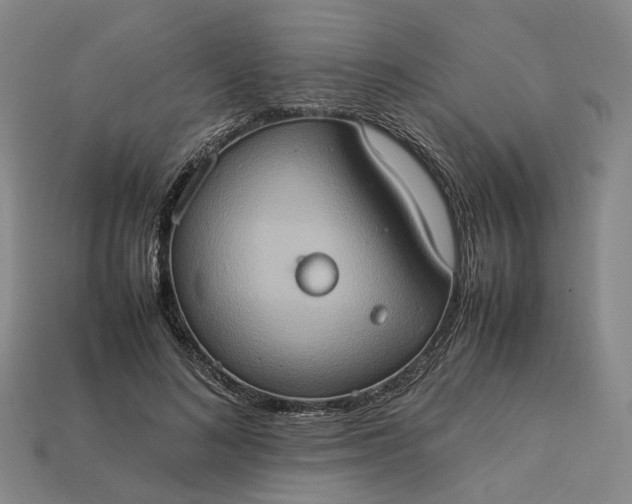 X0000112950692200909071116