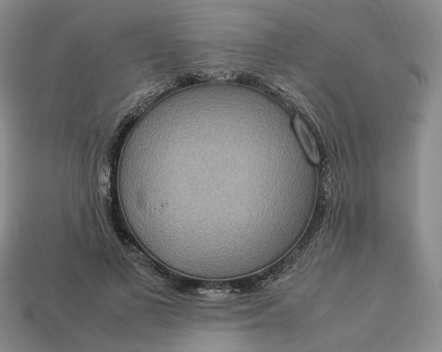 X0000112950693200909071116