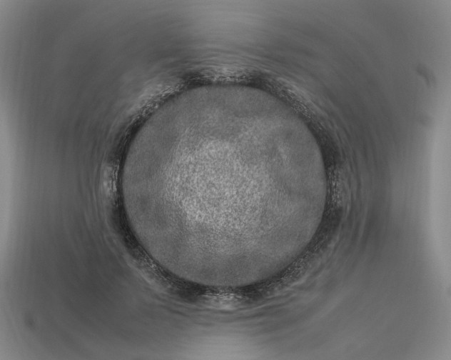 X0000112950695200909071116