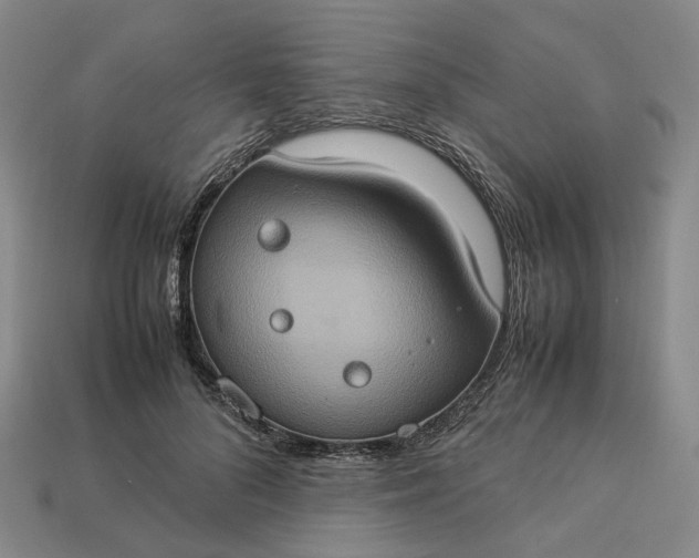 X0000112950696200909071115