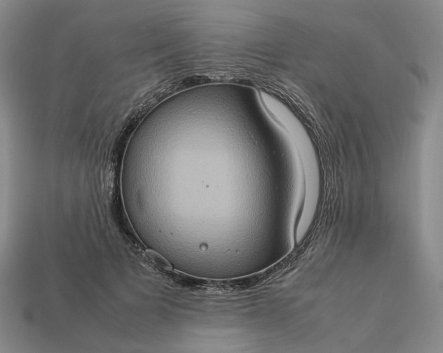 X0000112950697200909071115