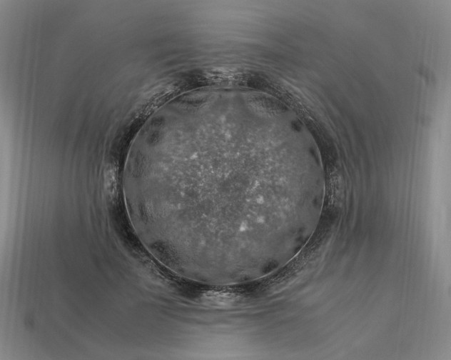 X0000112950699200909071115