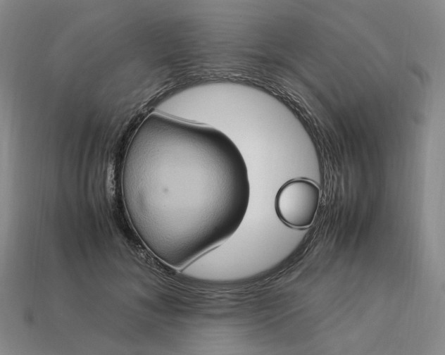 X0000112950700200909071115