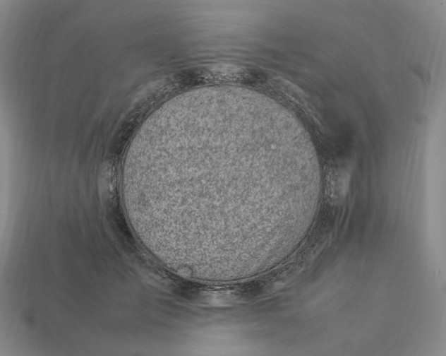 X0000112950701200909071115