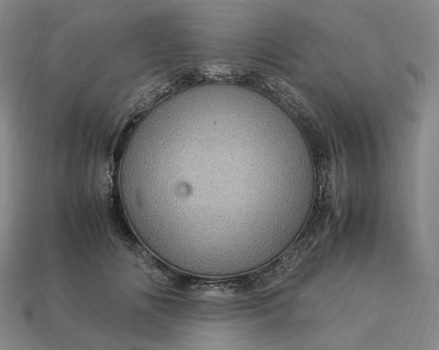 X0000112950702200909071115