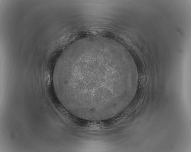 X0000112950703200909071115