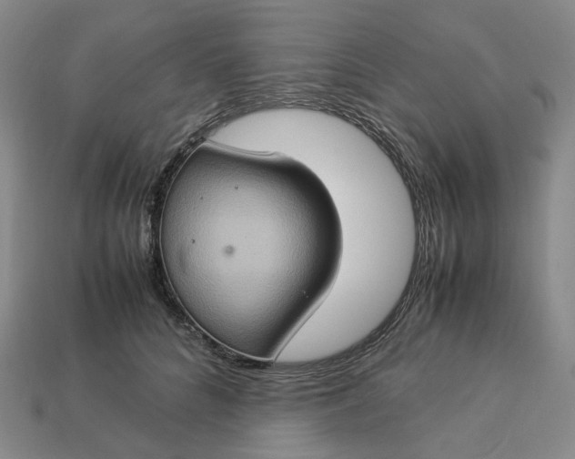 X0000112950704200909071115