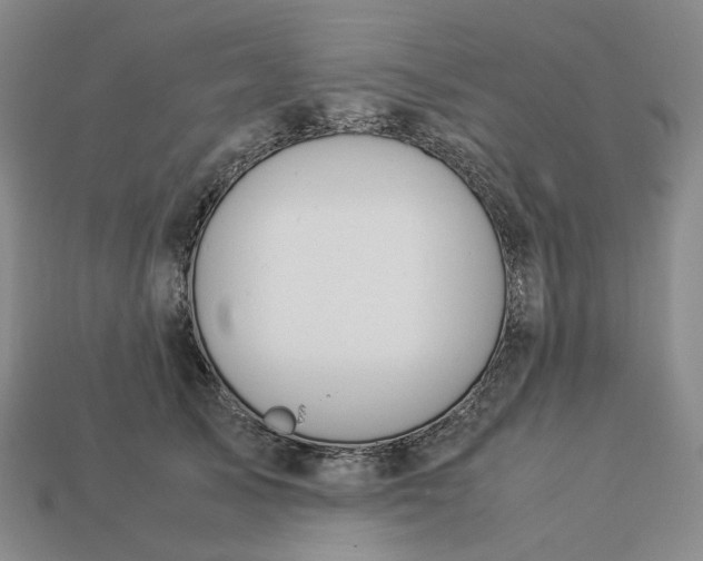 X0000112950705200909071115