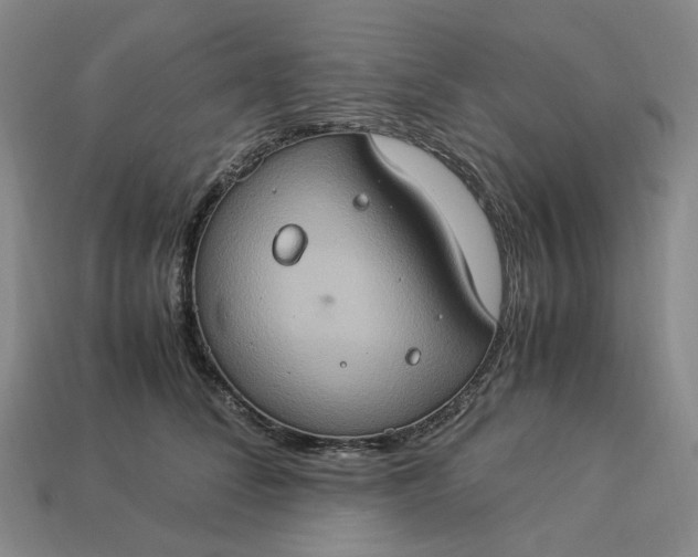 X0000112950708200909071115