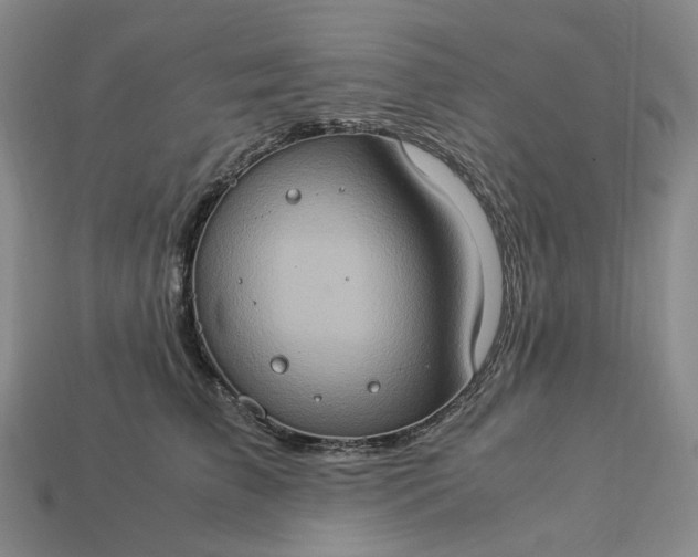 X0000112950709200909071115