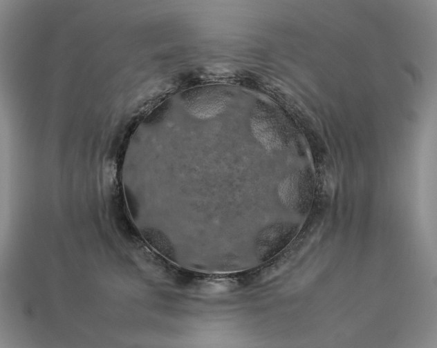 X0000112950711200909071115