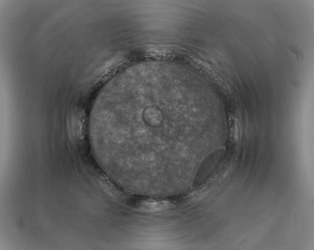 X0000112950712200909071115