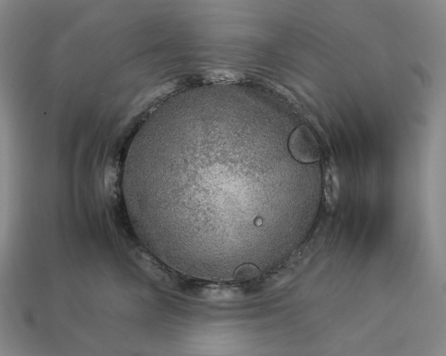 X0000112950714200909071115