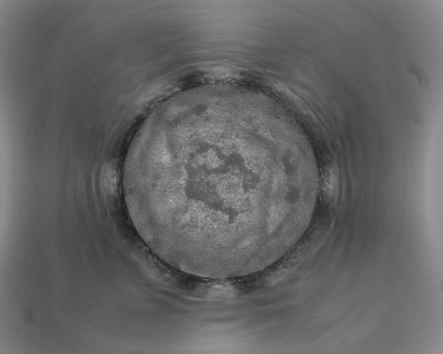 X0000112950715200909071115