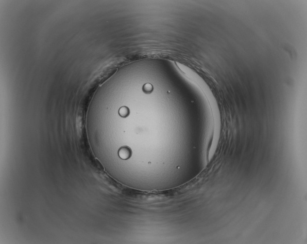 X0000112950716200909071115