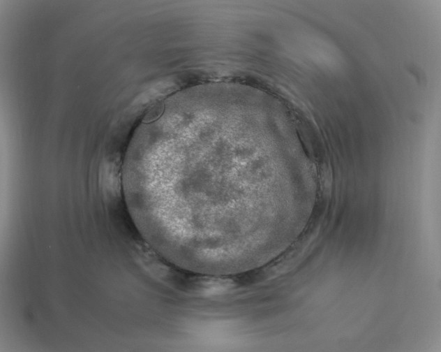 X0000112950719200909071115