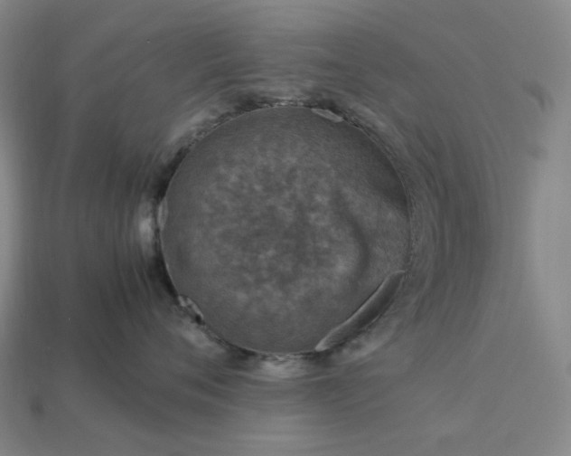 X0000112950720200909071115