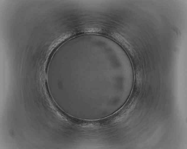 X0000112950721200909071115