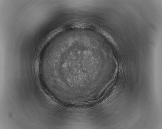 X0000112950722200909071115