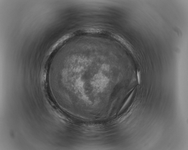 X0000112950723200909071115