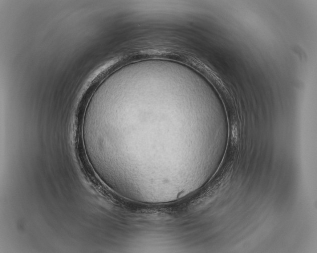 X0000112950724200909071115