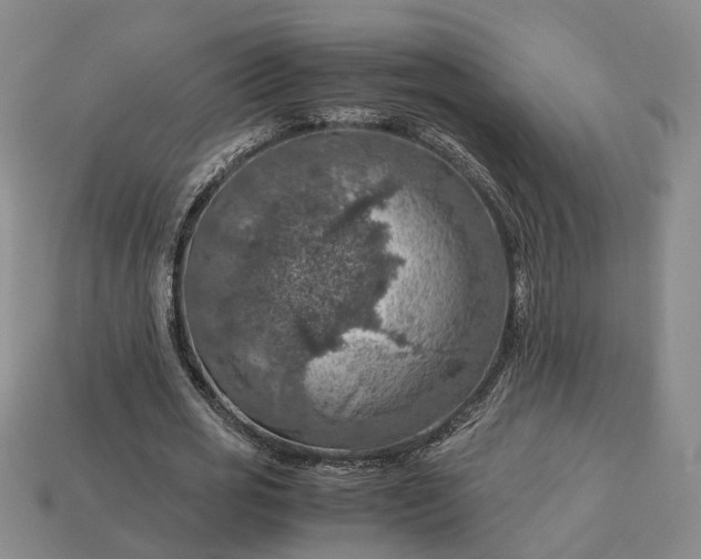 X0000112950725200909071115