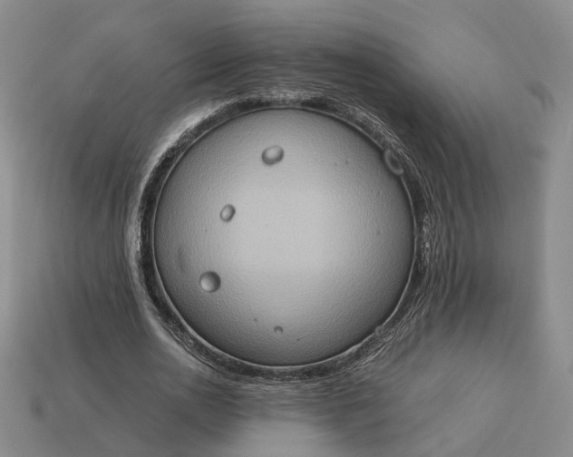 X0000112950726200909071115