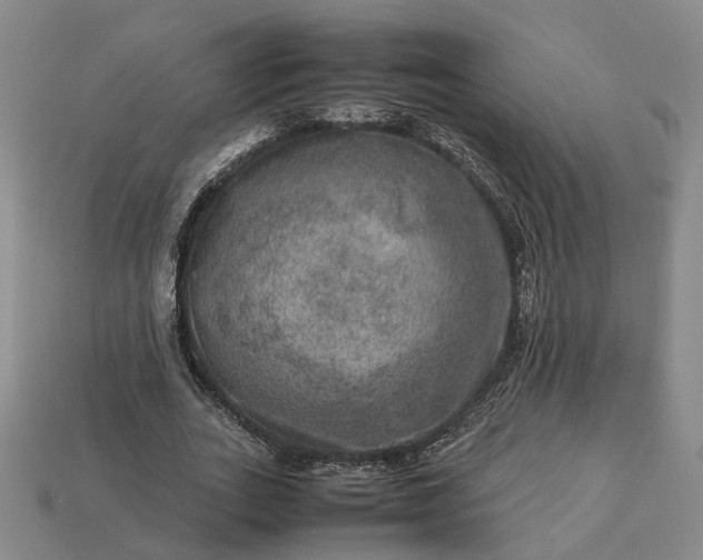 X0000112950727200909071115