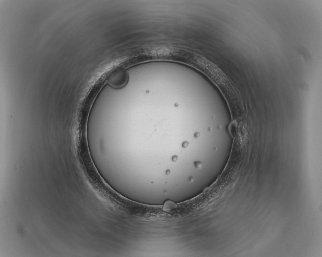 X0000112950728200909071115