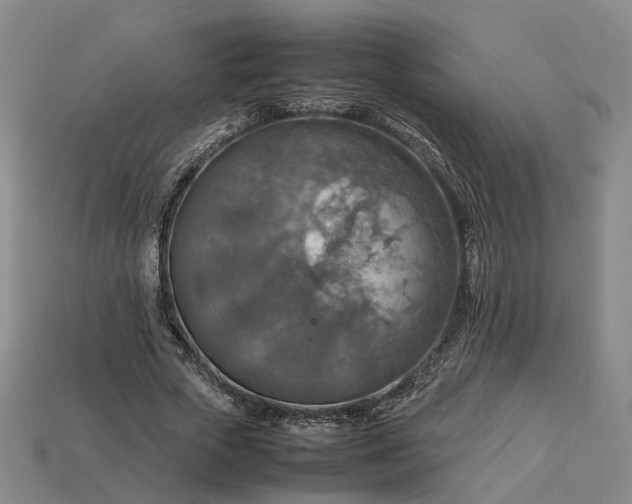 X0000112950729200909071115