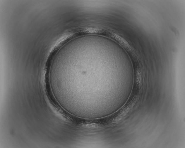 X0000112950730200909071115