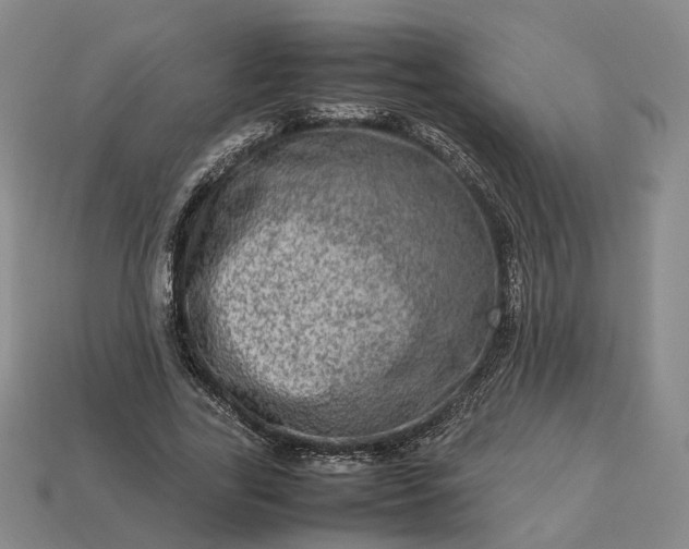 X0000112950731200909071115